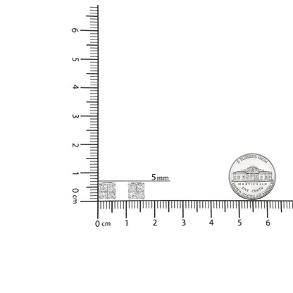 10K 白金 1.00 克拉隐形镶嵌公主方形钻石复合方形耳钉（GH 颜色，I2-I3 净度）