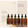 Mystic Mycelium Mushroom Elixir Kit