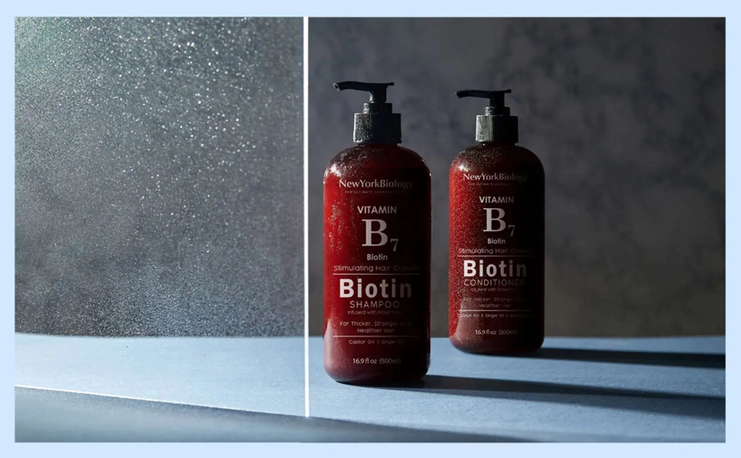 New York Biology Biotin Shampoo for hårvekst og tynt hår – Fortykningsformel for hårtapsbehandling – For menn og kvinner – Anti flass - 16,9 fl Oz 16,9 Fl Oz (pakke med 1) Biotin Shampoo - 16,9 Fl Oz (pakke med 1)