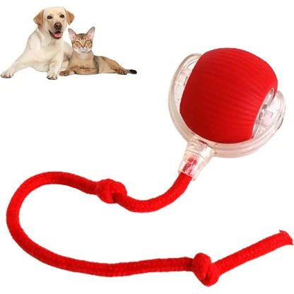 360 Smart Automatic Rolling Pet Ball