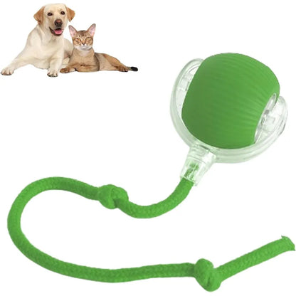 360 Smart Automatic Rolling Pet Ball