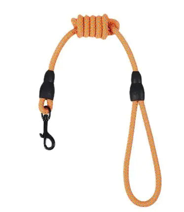 Nylon Woven Dog Leash