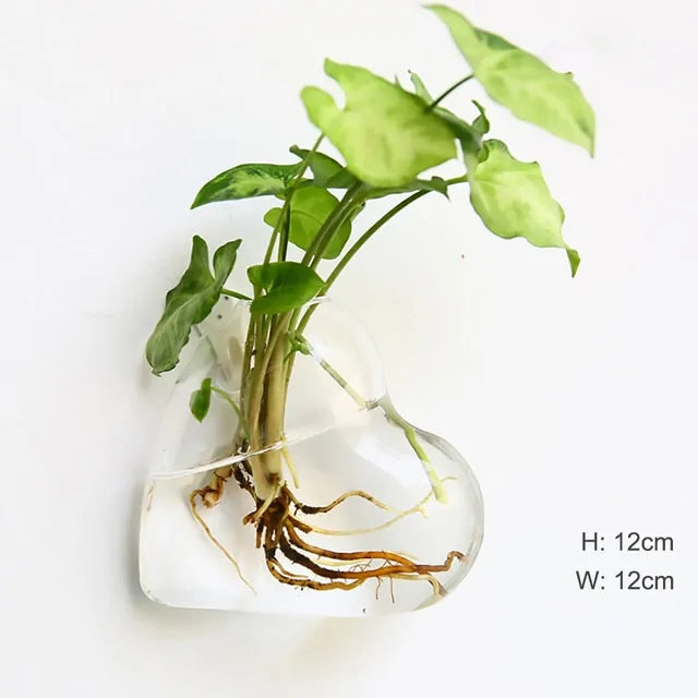 Wall Hanging Glass Vase Made from high-quality, durable glass, this vase is perfect for displaying your favorite flowers, plants, or decorative accents.