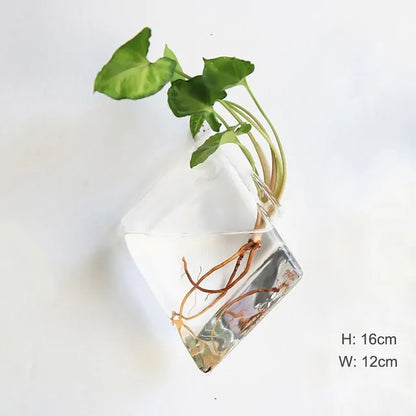 Wall Hanging Glass Vase Made from high-quality, durable glass, this vase is perfect for displaying your favorite flowers, plants, or decorative accents.