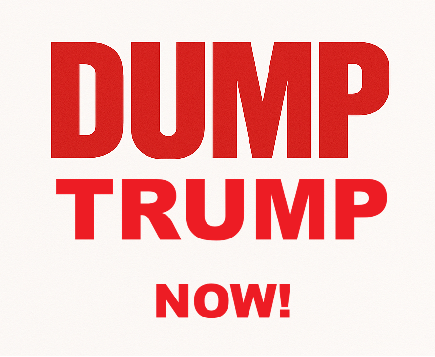 DUMP TRUMP NOW! Knit Beanie | Otto Cap 82-480
