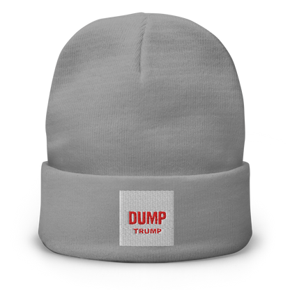 DUMP TRUMP NOW! Knit Beanie | Otto Cap 82-480