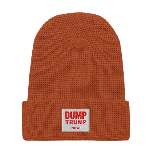 DUMP TRUMP NOW! Waffle Beanie