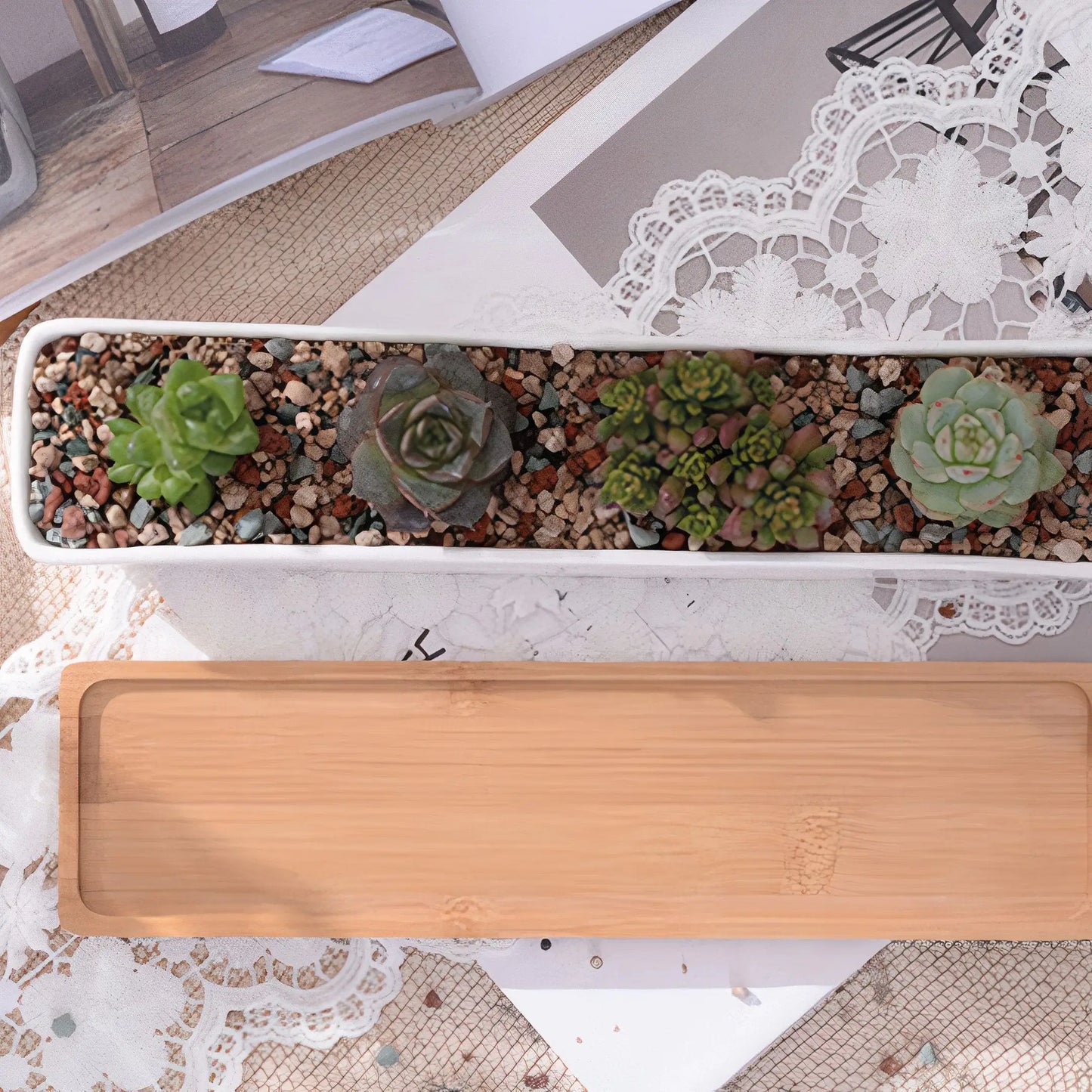 Long Succulent Planter US addition to your indoor garden