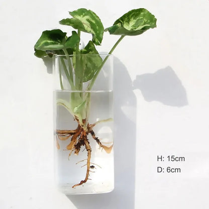 壁挂式玻璃花瓶采用优质耐用玻璃制成，非常适合展示您最喜爱的鲜花、植物或装饰品。