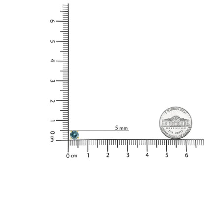 14K kullaga 1/2 Cttw Aqua Blue Teemantkeeratava tagaküljega 4-harulised klassikalised kõrvarõngad (värviga töödeldud, I2-I3)