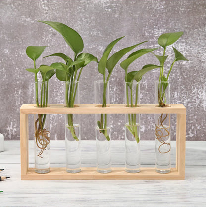 5 Vase set