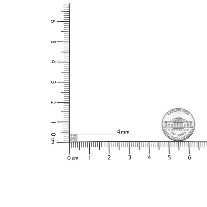 10K 白金 3/4 克拉公主方钻石复合垫形耳钉（IJ 颜色，I1-I2 净度）