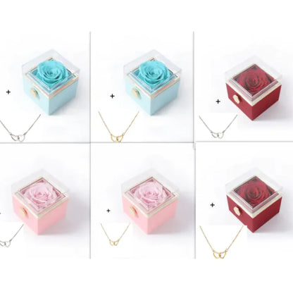 Necklace Box Set