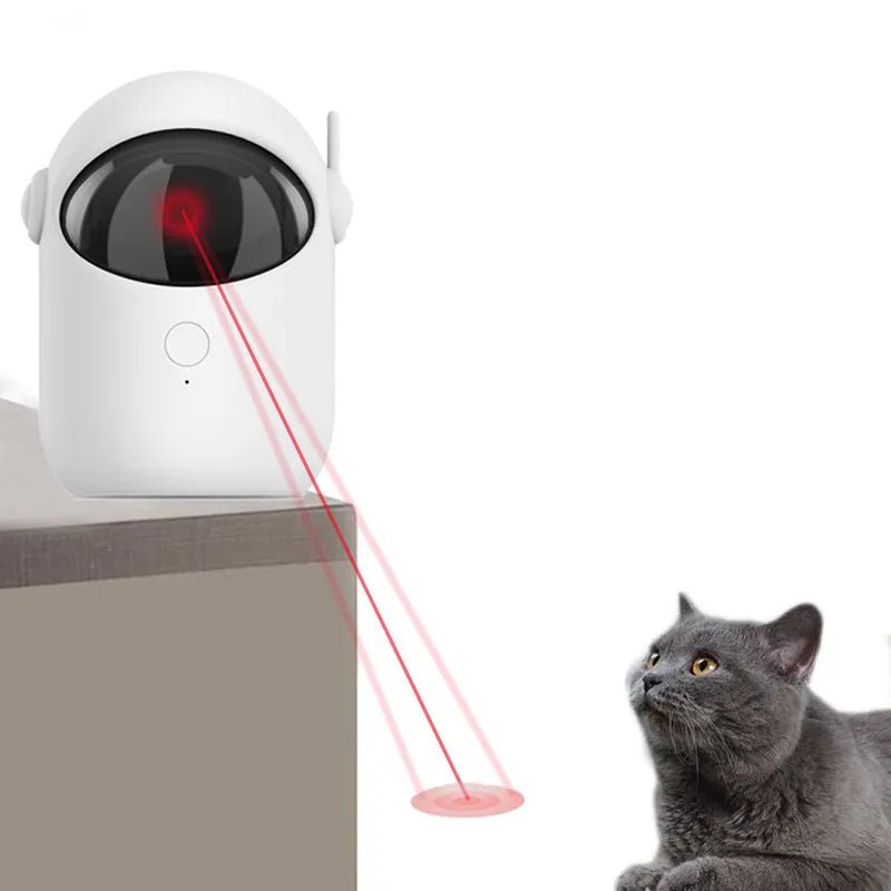 Auto Laser Playtime for Cats - Catch Cards