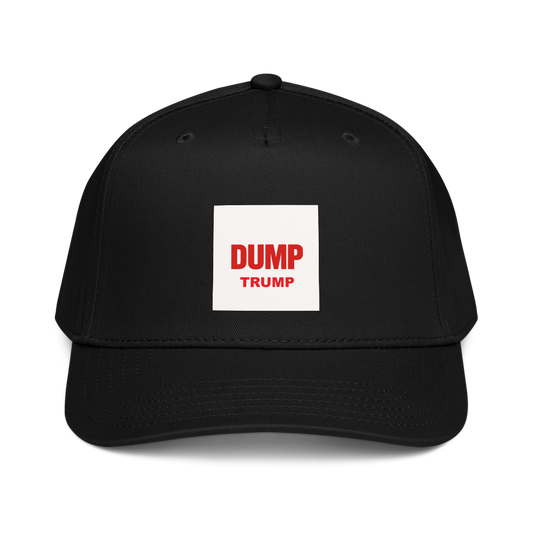 Snug Fit Mid-Profile Cap | Otto Cap 31-069