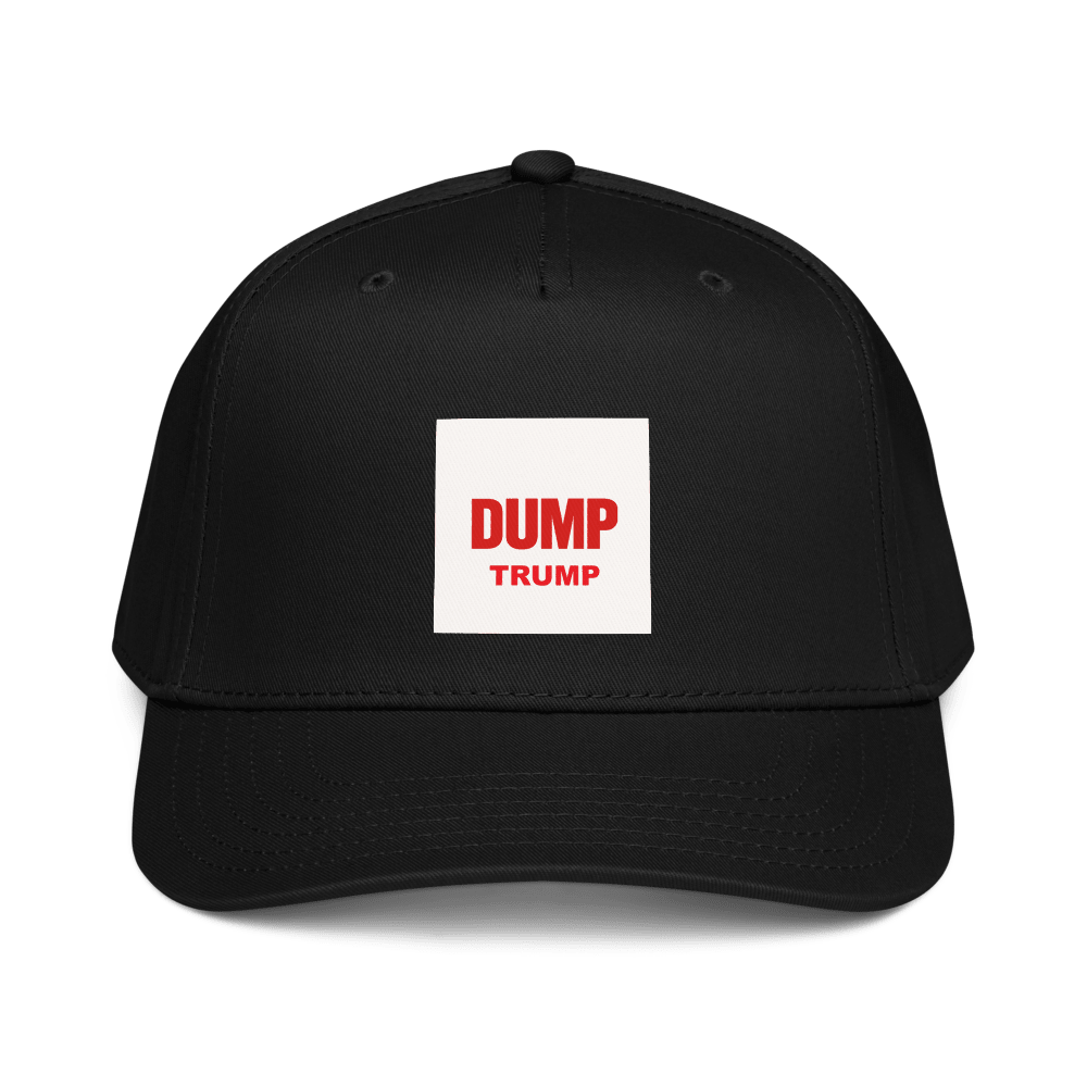 DUMP TRUMP NOW! Snug Fit Mid - Profile Cap - Catch Cards