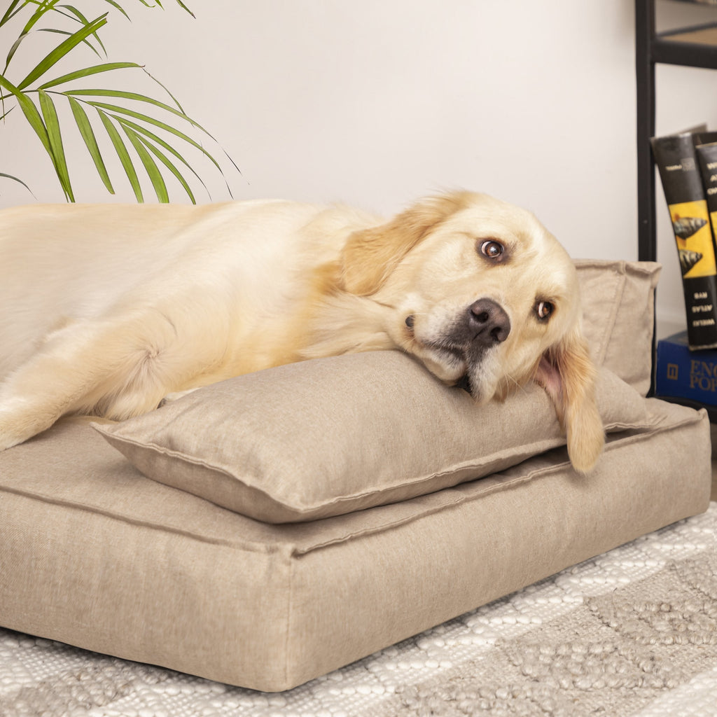 Hano Dog & Cat Bed with Removable Cover – Grey, L
