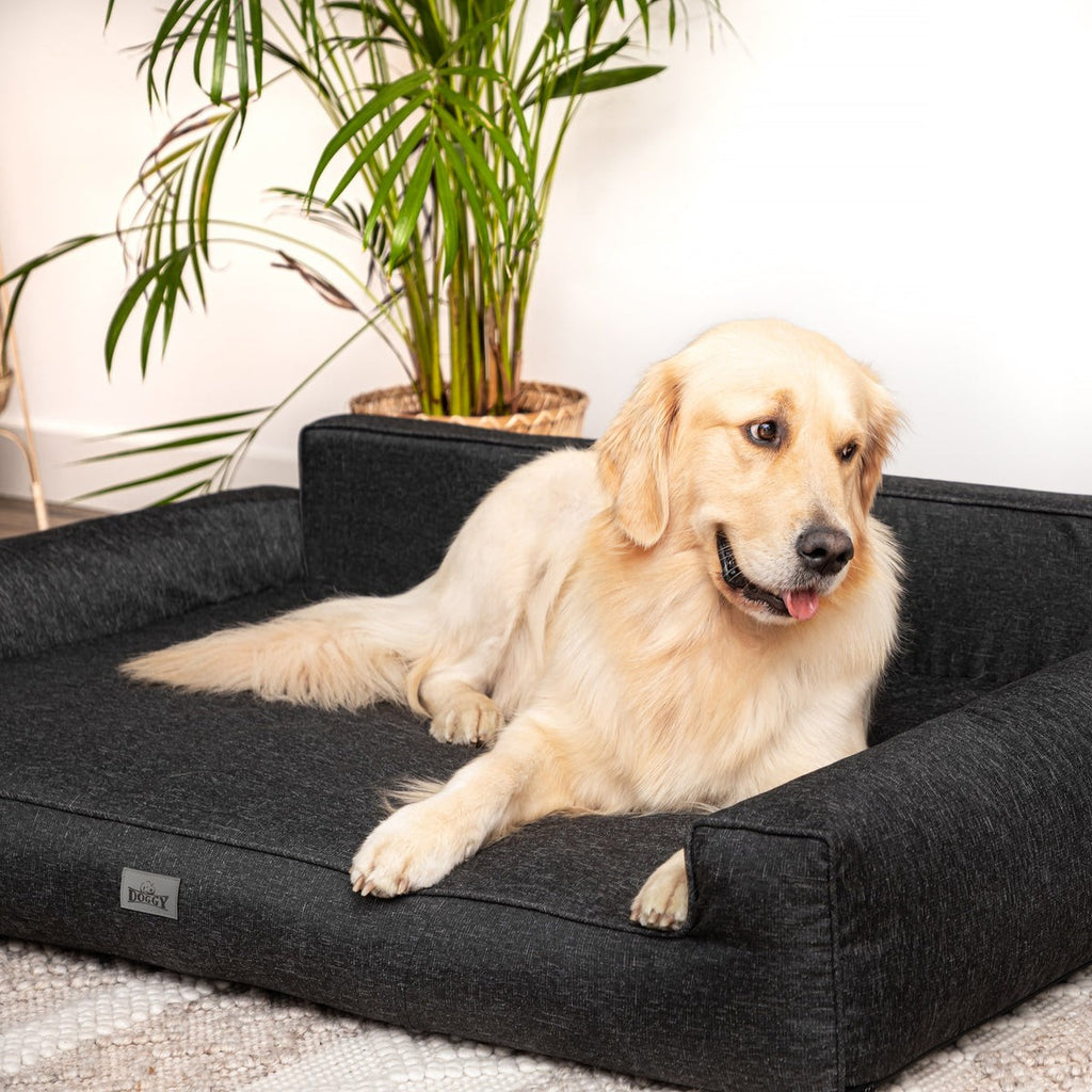 Mano Dog Bed with Removable Cover – Beige, XXL