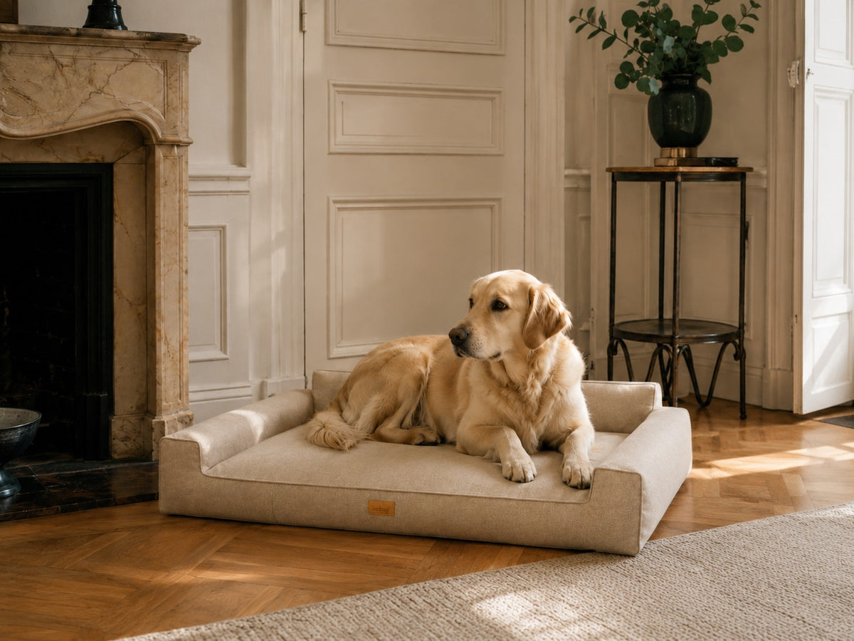 Mano Dog Bed with Removable Cover – Black, L