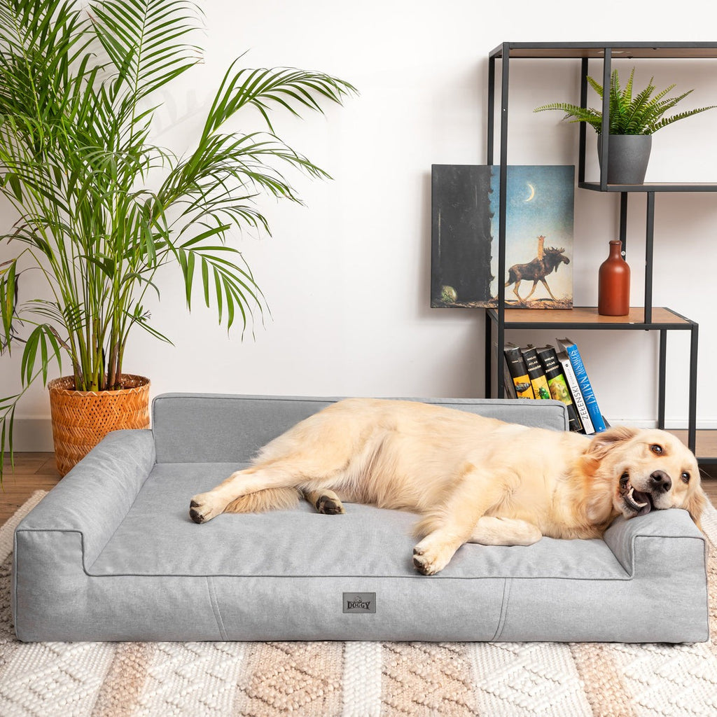 Mano Dog Bed with Removable Cover – Blue, XXL