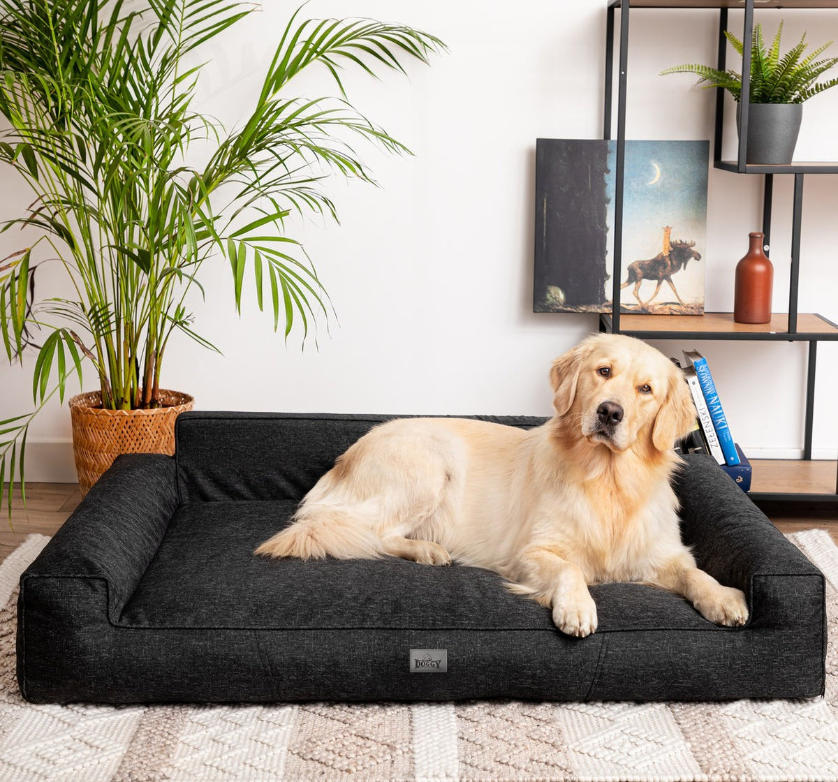 Mano Dog Bed with Removable Cover – Grey, XL