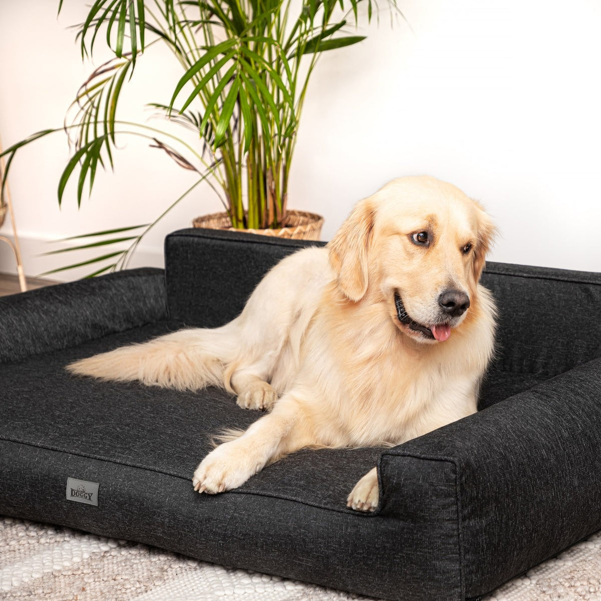 Mano Dog Bed with Removable Cover – Grey, XXL