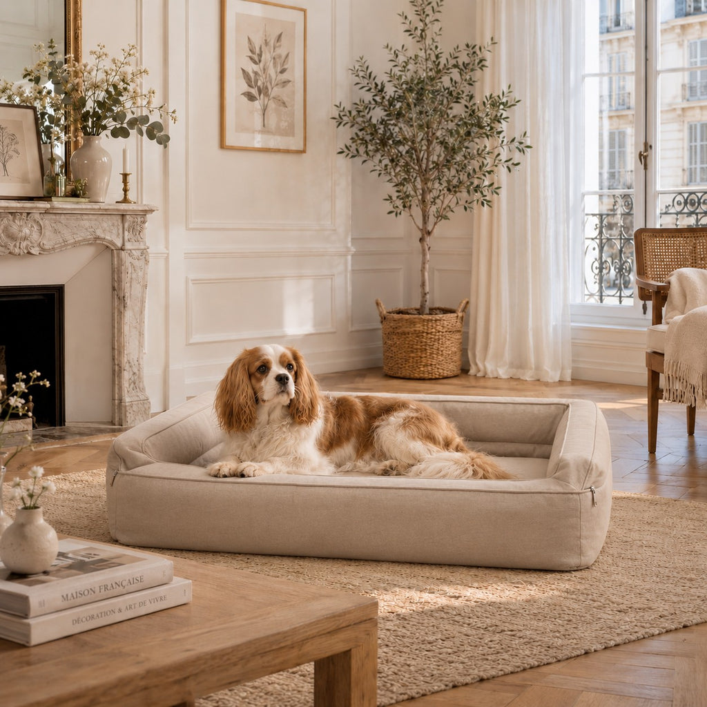 Mano Ergonomic Dog Bed with Removable Cover – Beige, XL
