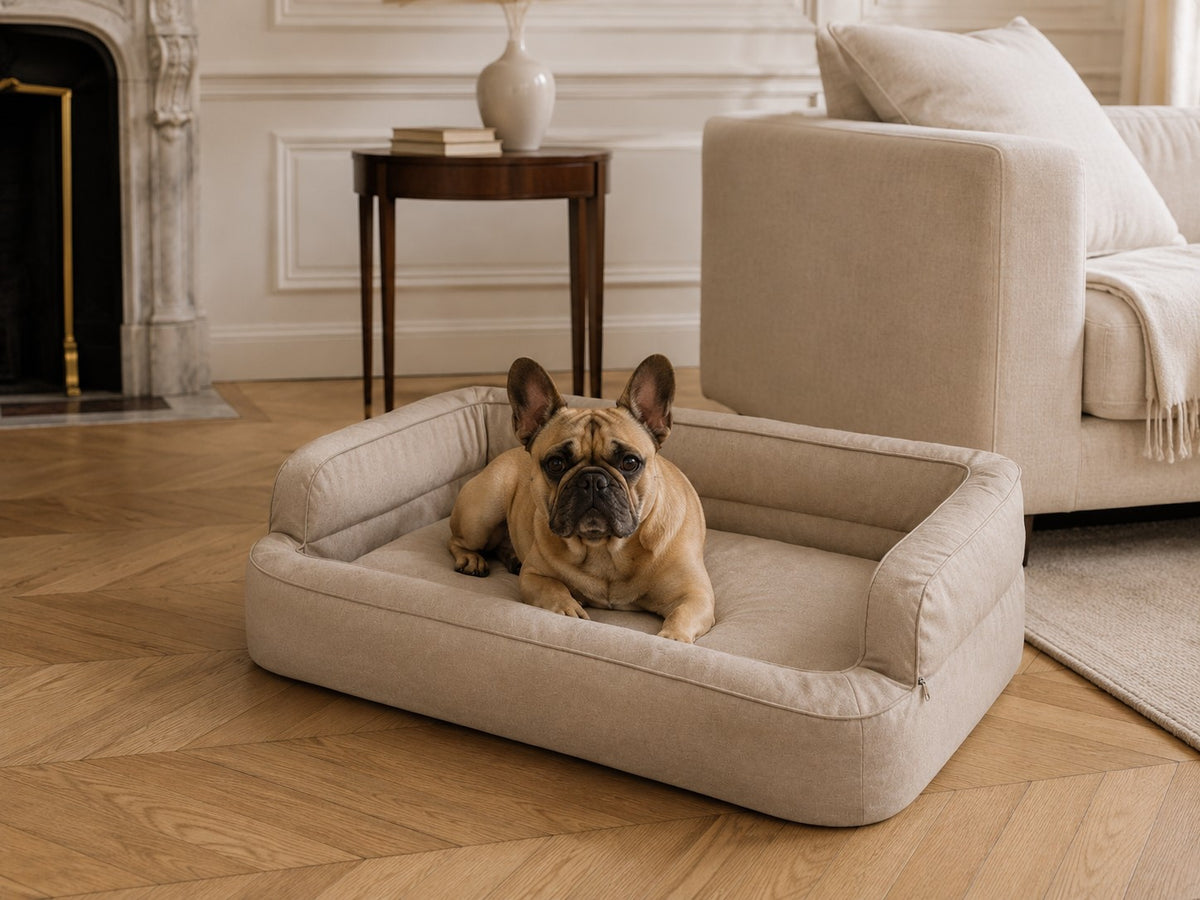 Mano Ergonomic Dog Bed with Removable Cover – Beige, XXL