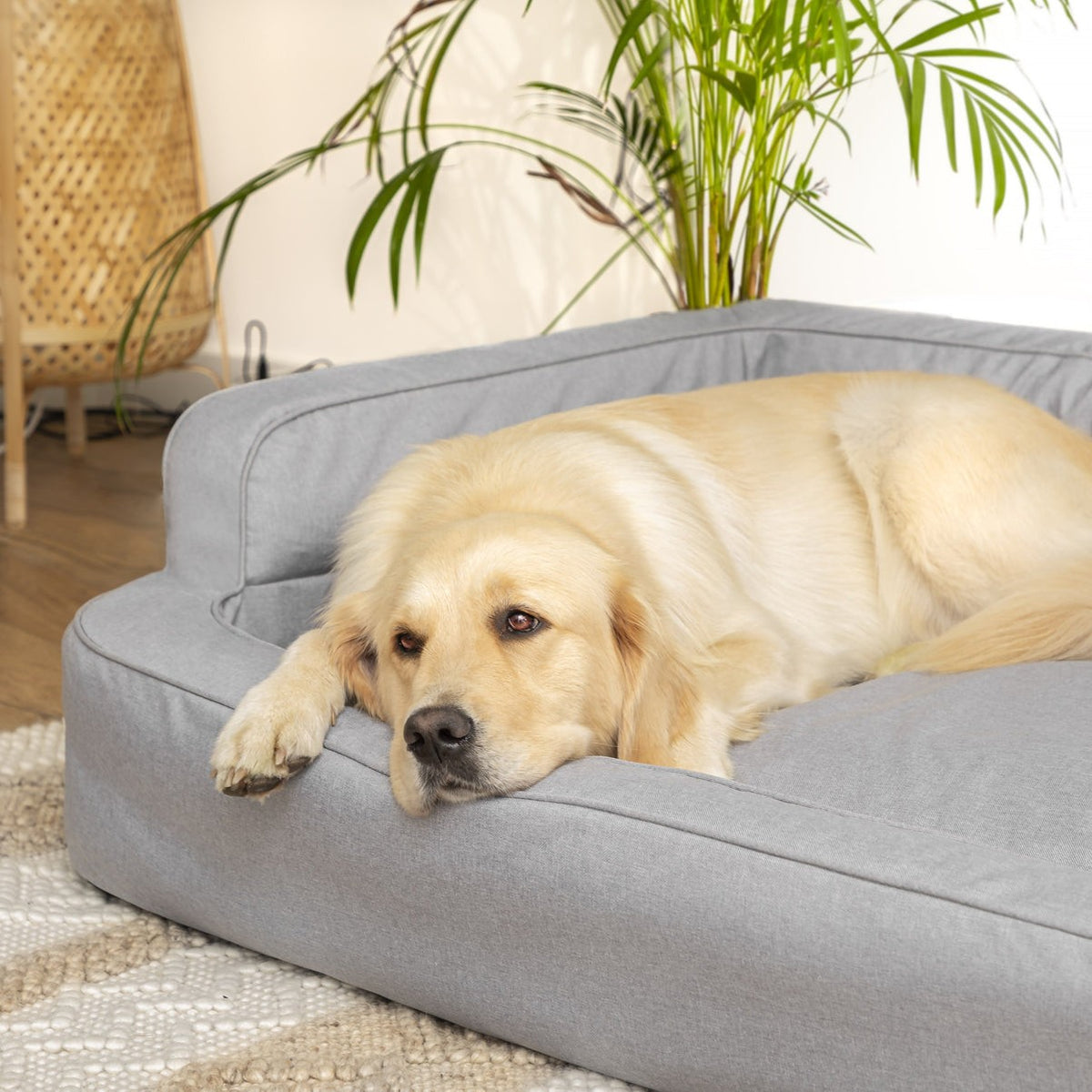 Mano Ergonomic Dog Bed with Removable Cover – Blue, XXL