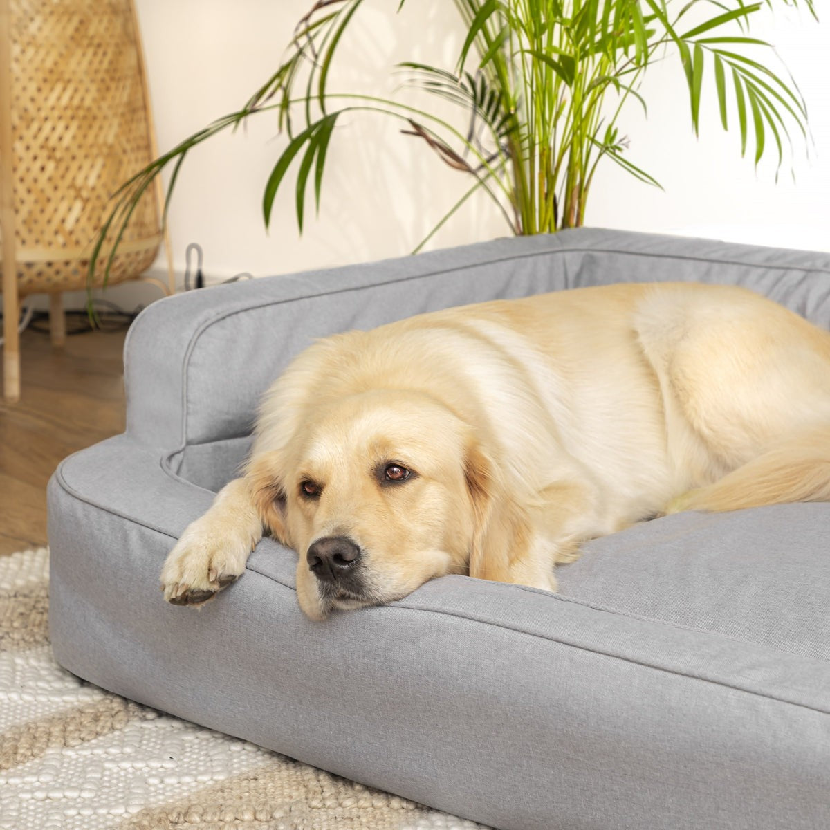 Mano Ergonomic Dog Bed with Removable Cover – Grey, XXL