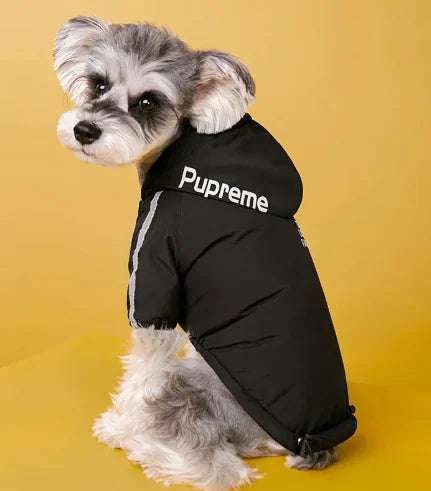 Chaqueta de invierno para perro con forro de terciopelo extra