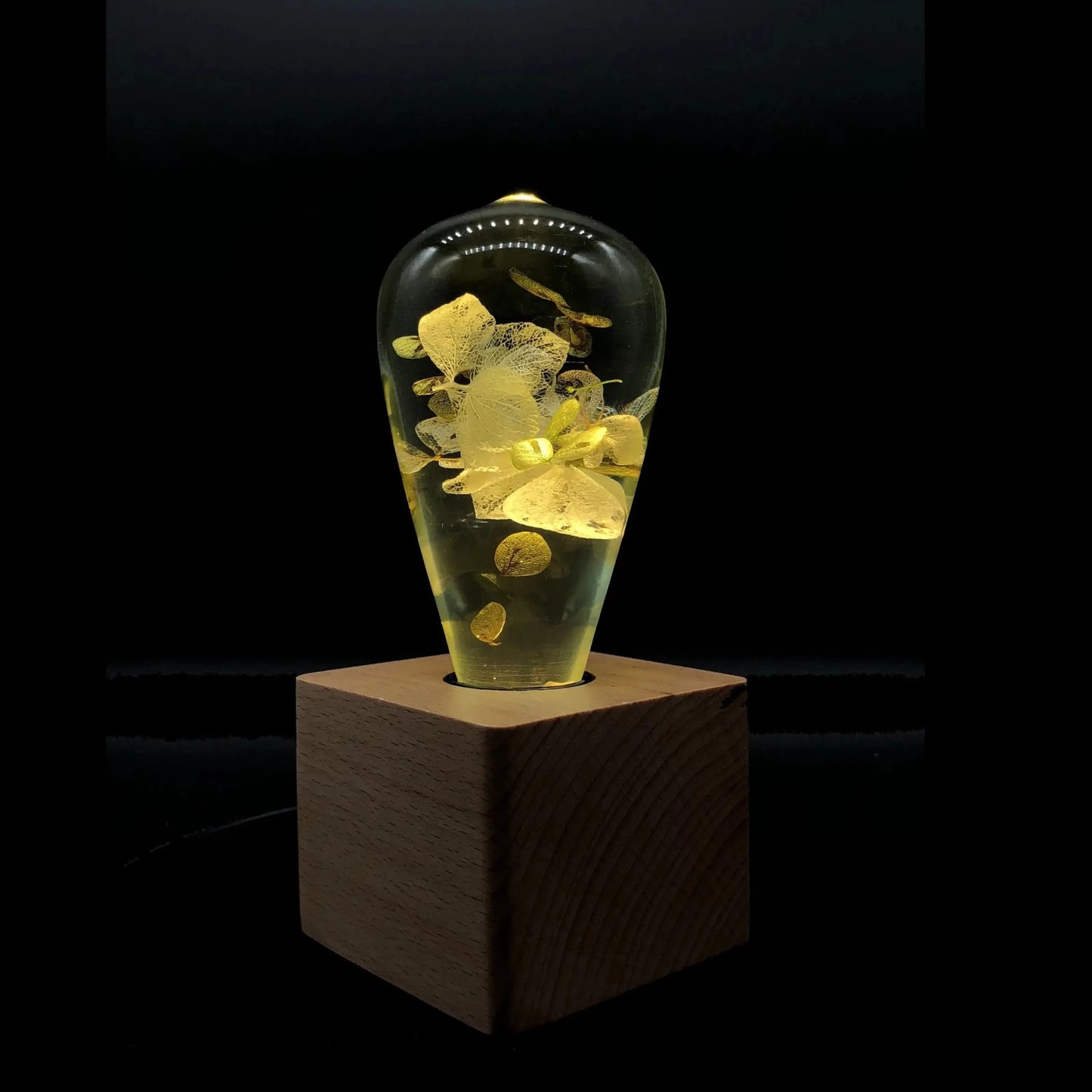 HydraGlow Lamp - Catch Cards