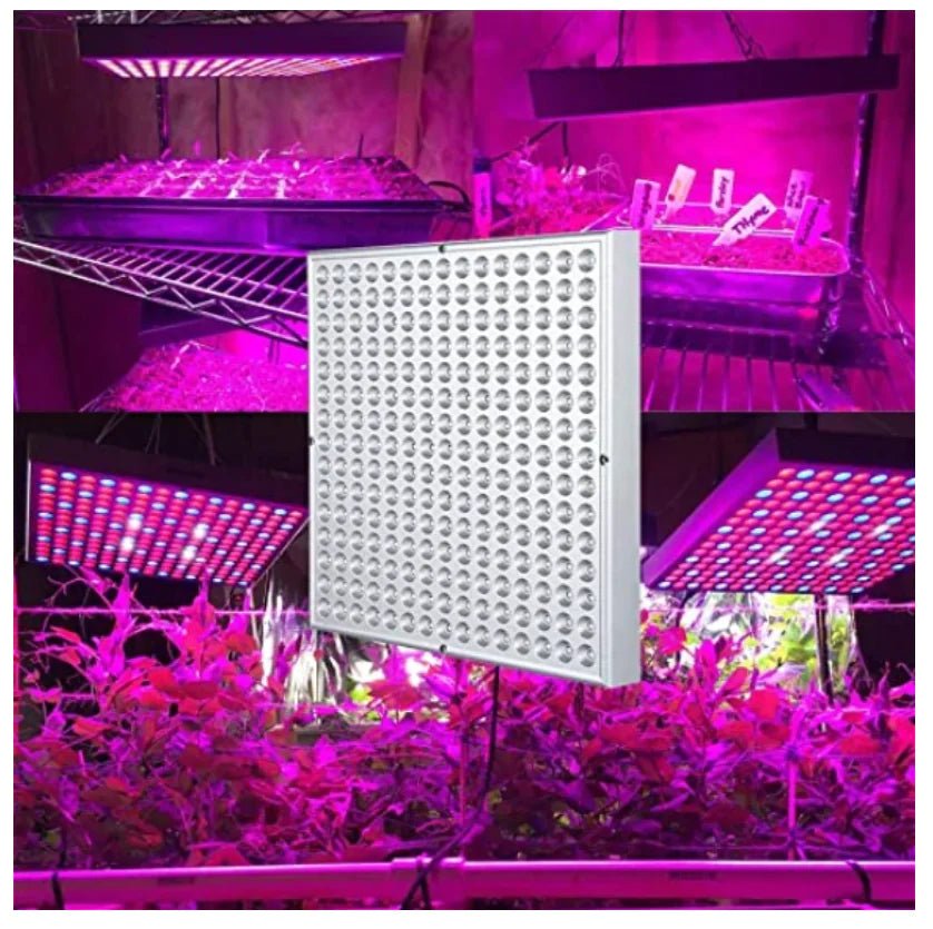 LED Grow Lamp - Catch Cards