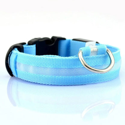 LED Pet Safety Collar - Catch Cards