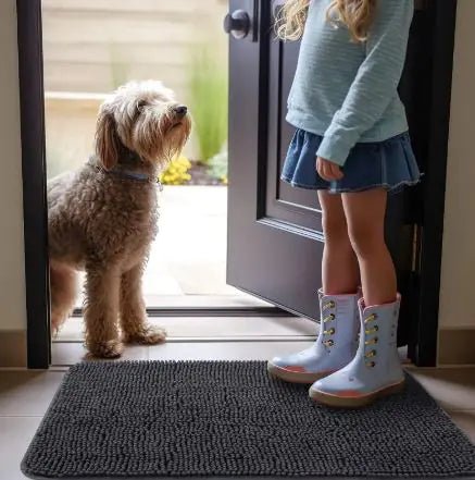 Pet Non - slip Door Mat - Catch Cards