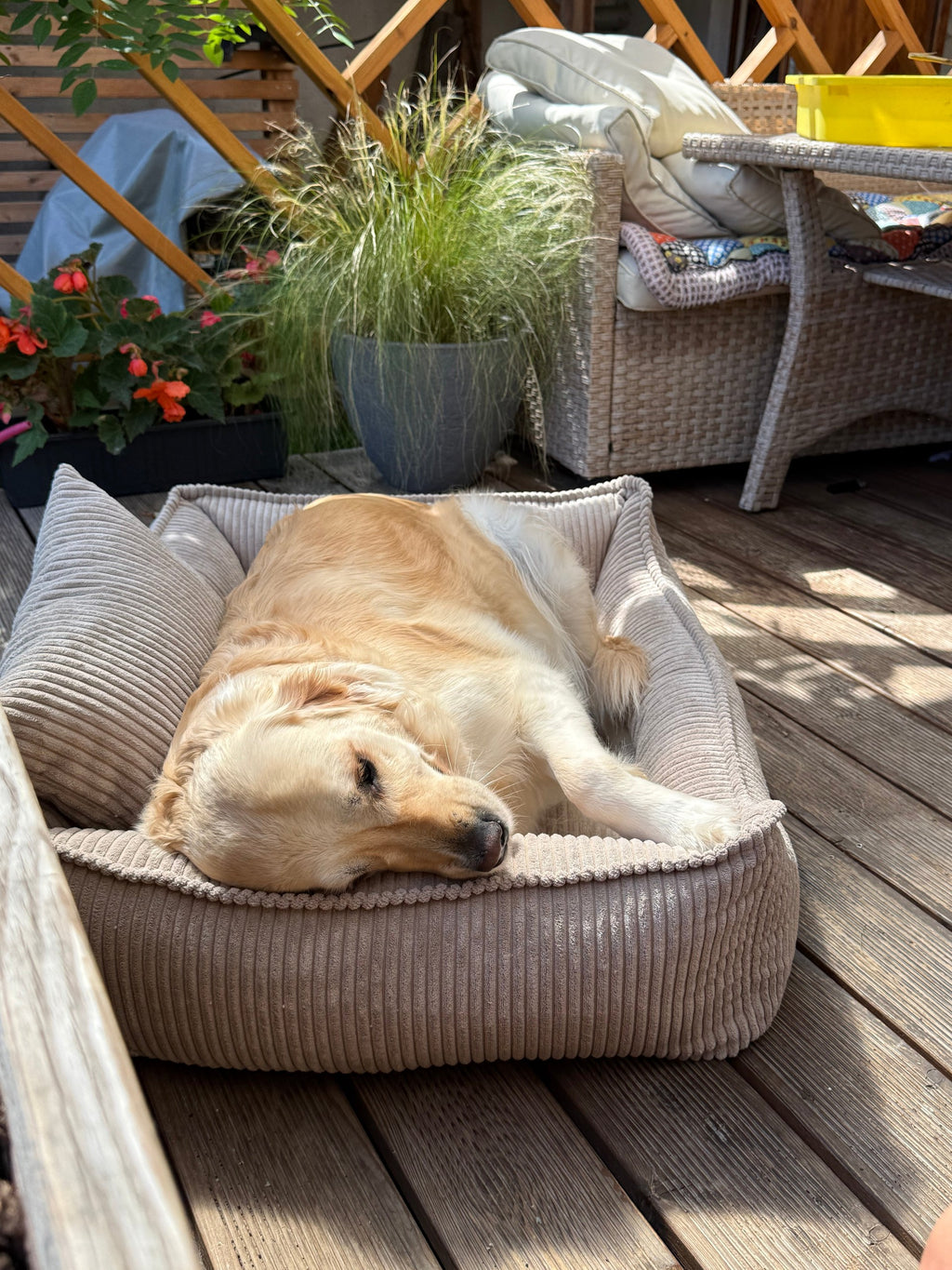 Lodie Corduroy Memory Foam Dog Sofa – Beige, S