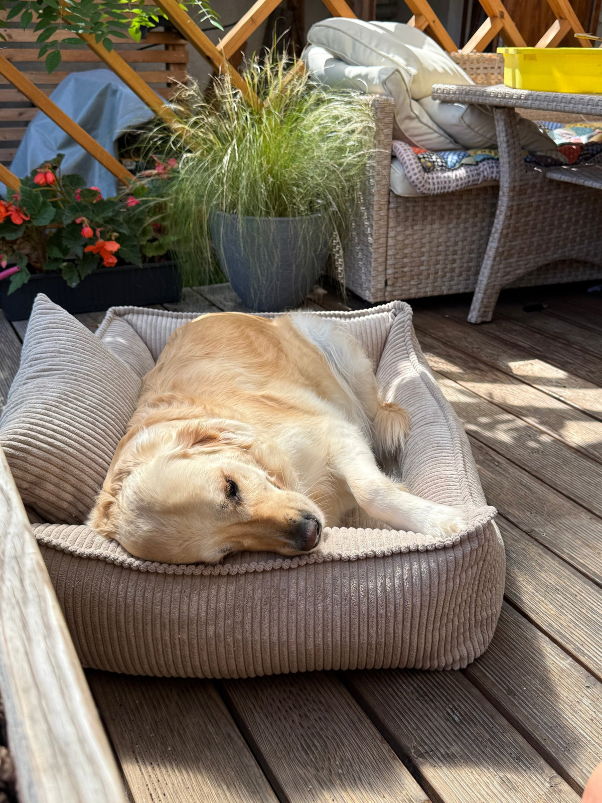 Lodie Corduroy Memory Foam Dog Sofa – Grey, M