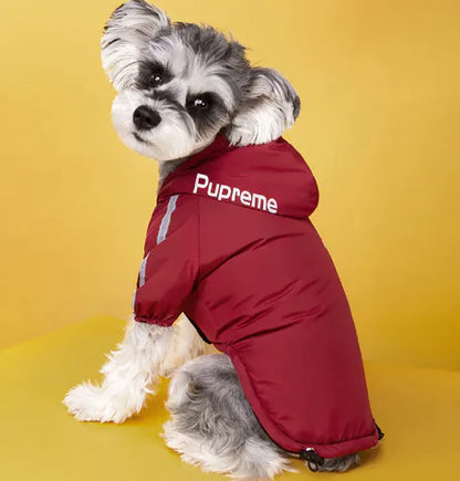 Chaqueta de invierno para perro con forro de terciopelo extra