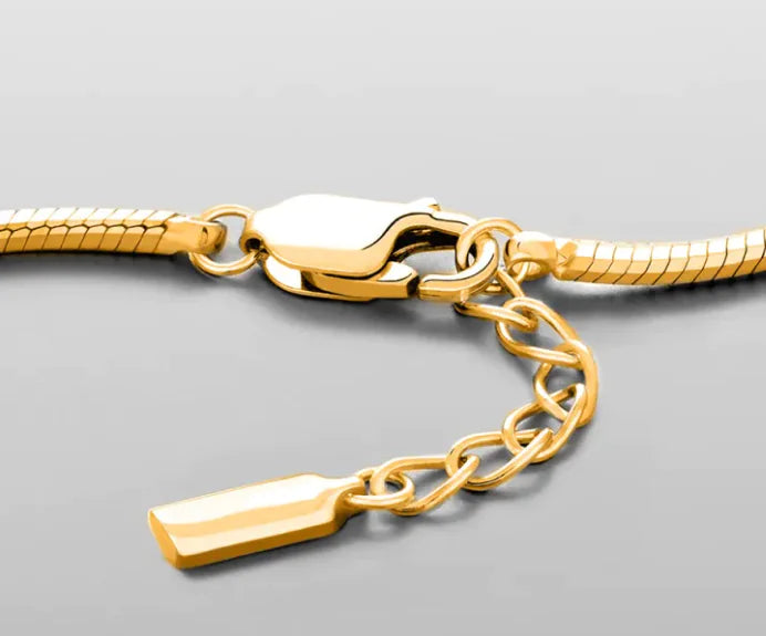 Stainless Steel Snake Bone Bracelet WEM Support (www.WEM.support)