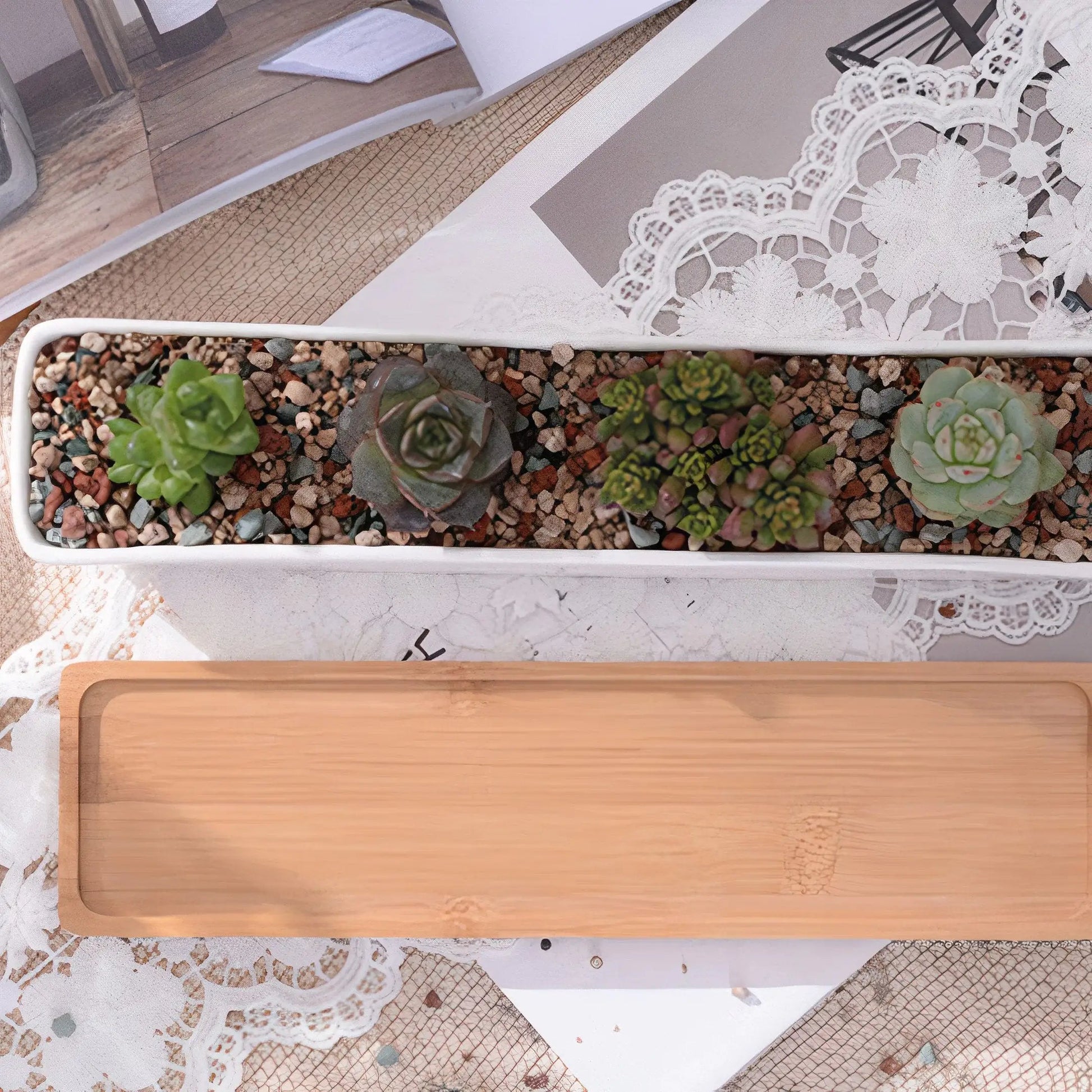 Long Succulent Planter US addition to your indoor garden WEM Support (www.WEM.support)