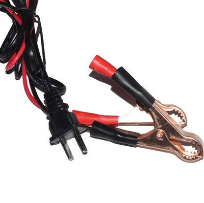 Maintenance Free Battery Charger 12V/24V 10A 140W Output For Electric Car Pro WEM Support (www.WEM.support)